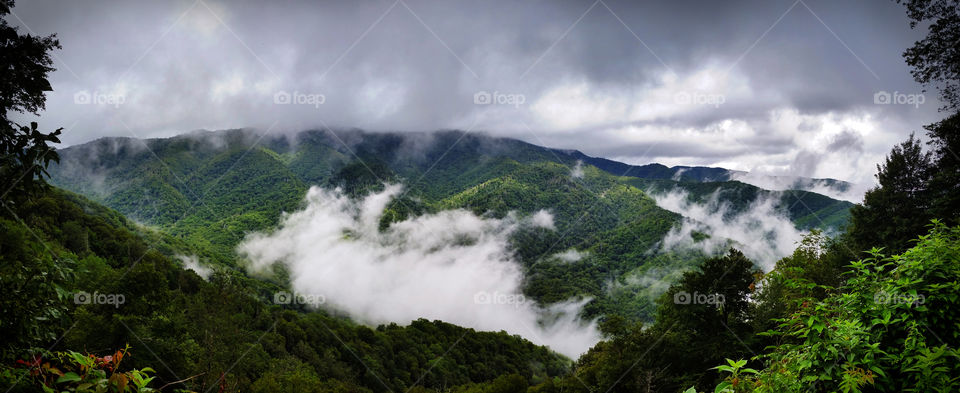 Great Smokey Mountains National Park with clouds and trees, panoramic view.