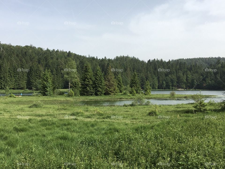 Lake in green flat landscape 