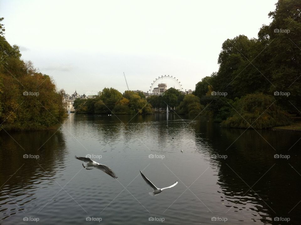 St James' park