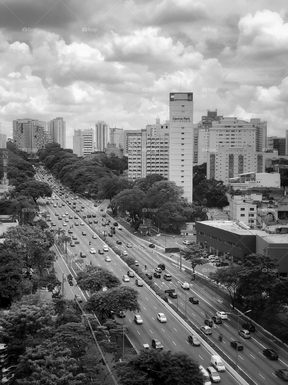 Important avenue in a big city in the middle of a weekday afternoon. Light traffic for this avenue.