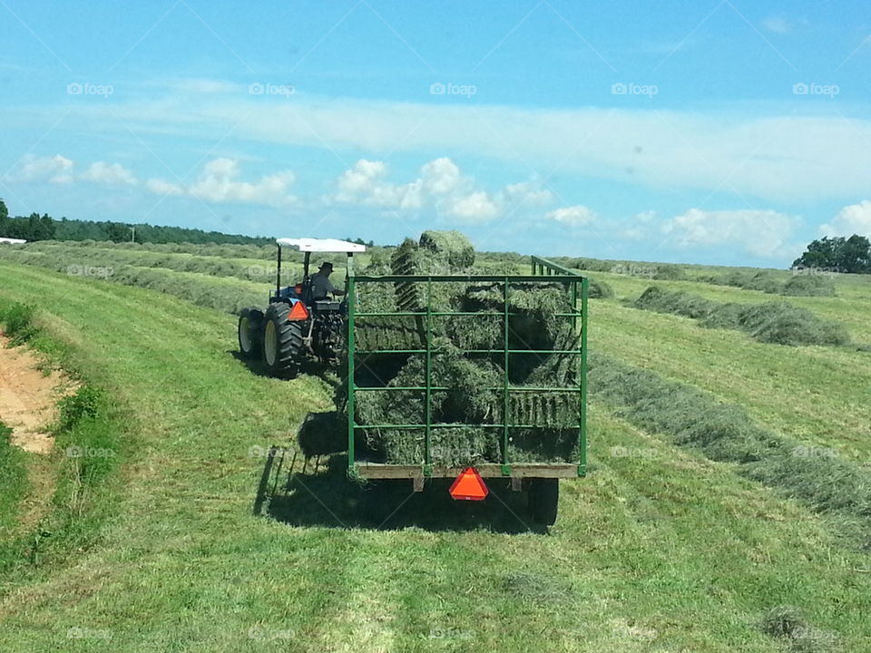 hay baling