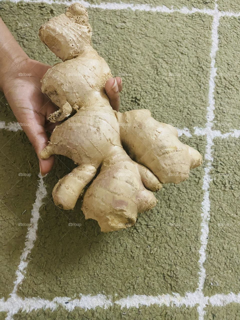 Beautiful and amazing big ginger 