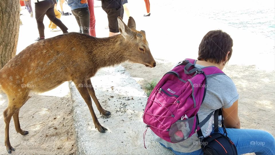 Mammal, Child, Outdoors, Nature, Wildlife