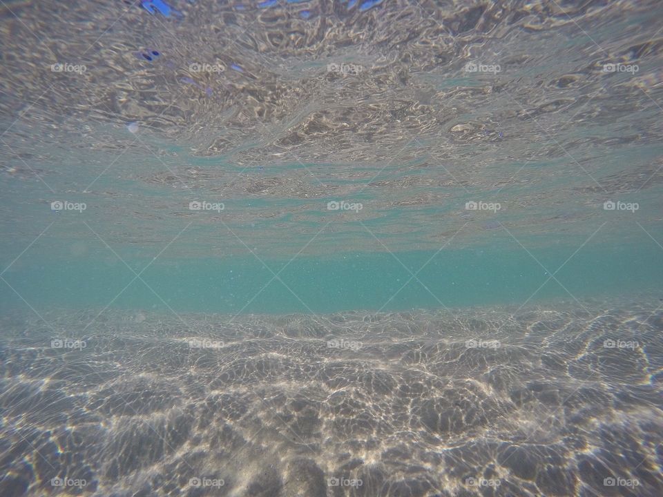 Swimming in the clear ocean water 