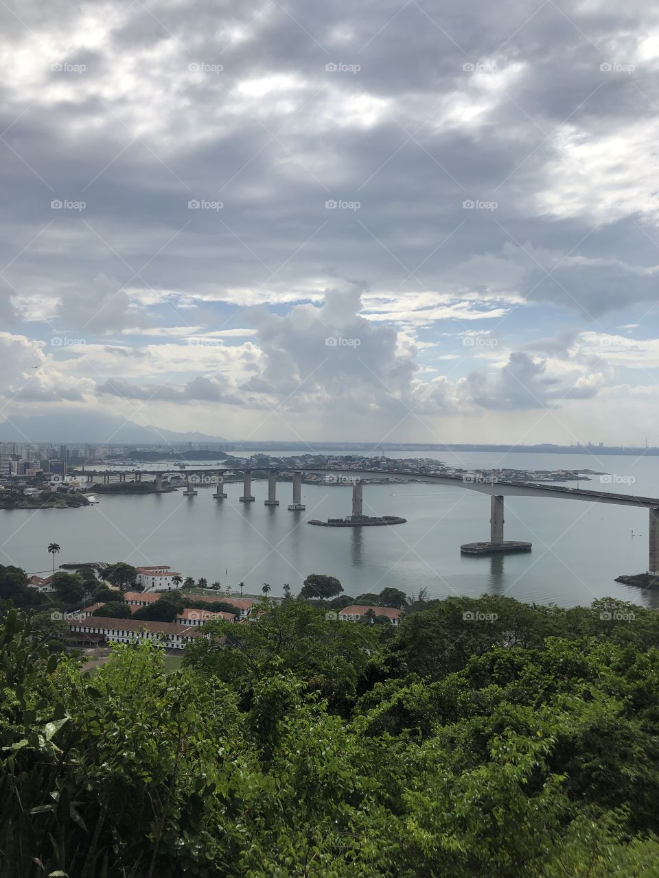 Beautiful view of a bridge dividing two cities surrounded by nature