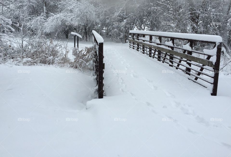 Bridge in snow
