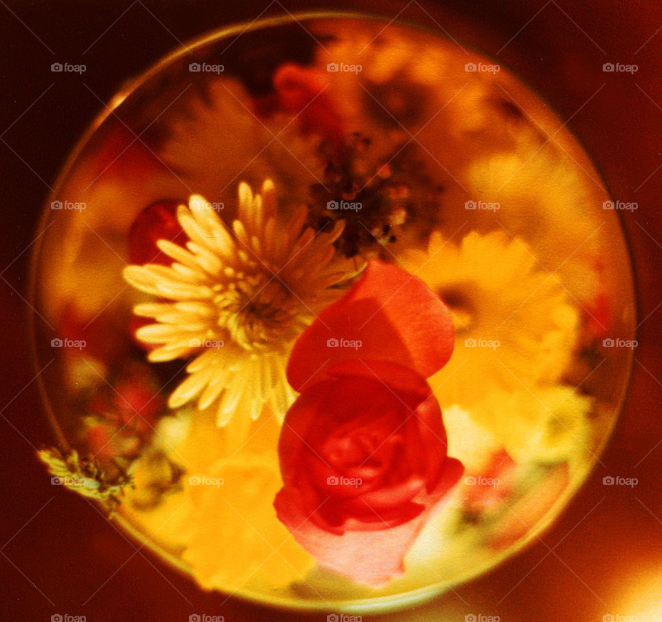 Flowers in glass bowl