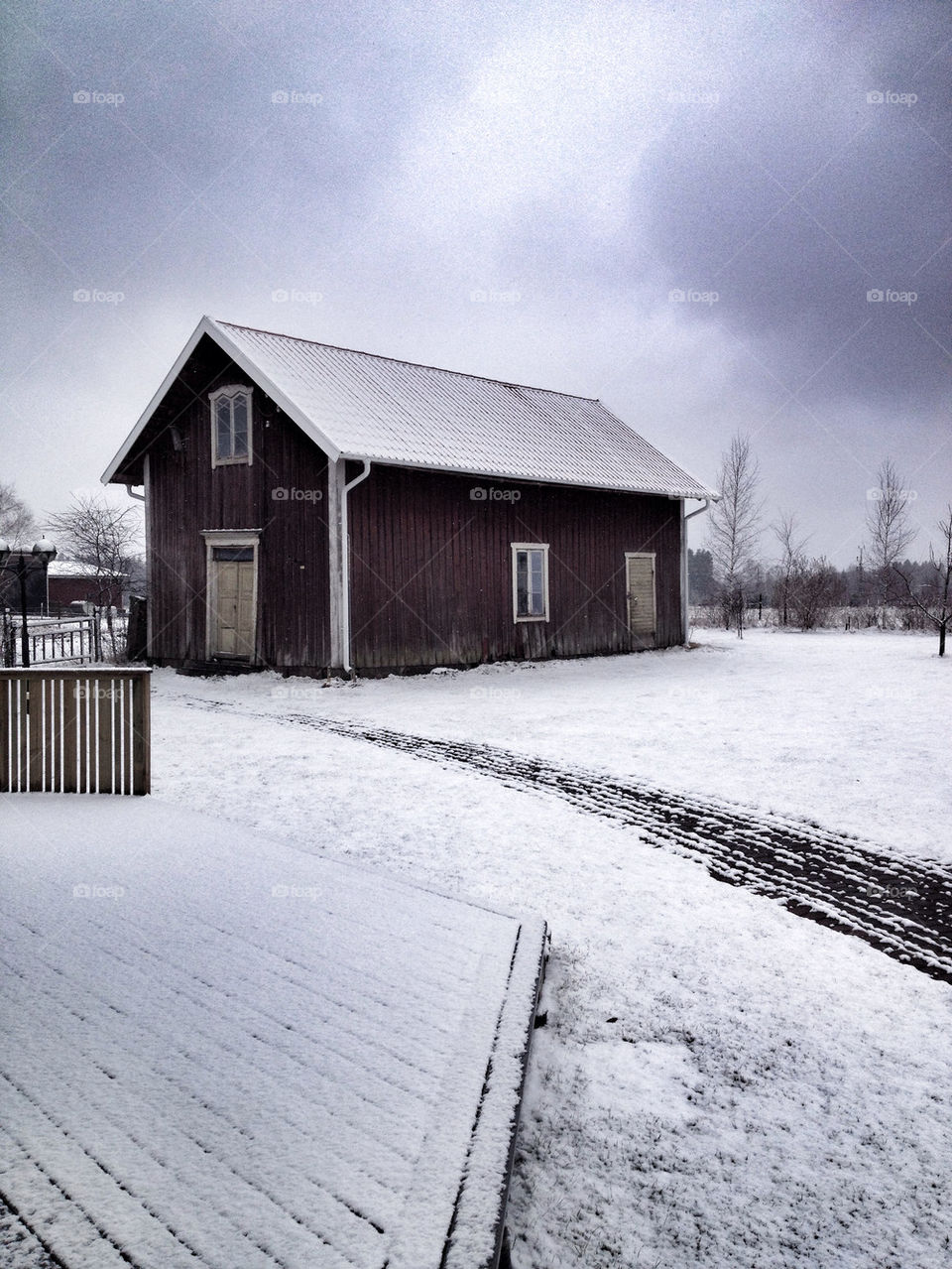 snow winter garden grey by johanssonsanna