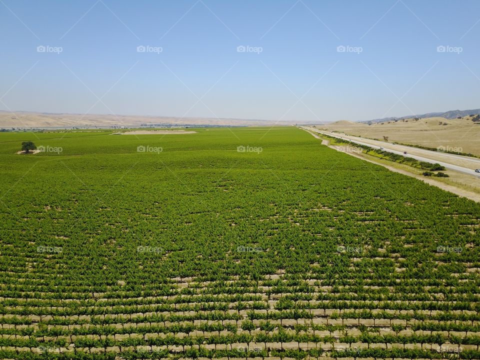 Agriculture, Landscape, Cropland, No Person, Farm
