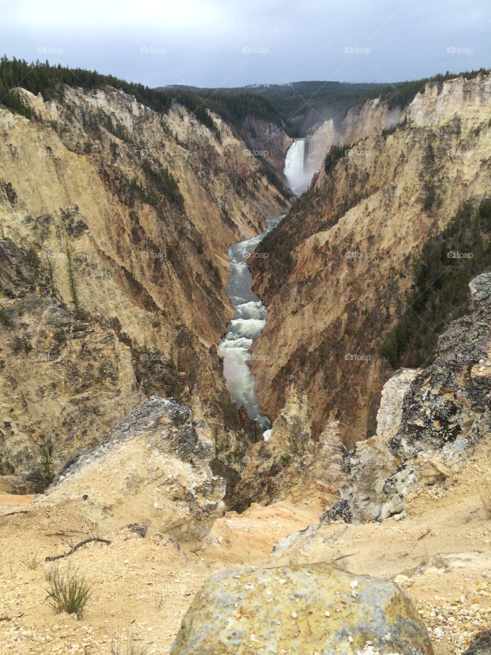 Yellowstone lower falls. Lower falls at Yellowstone