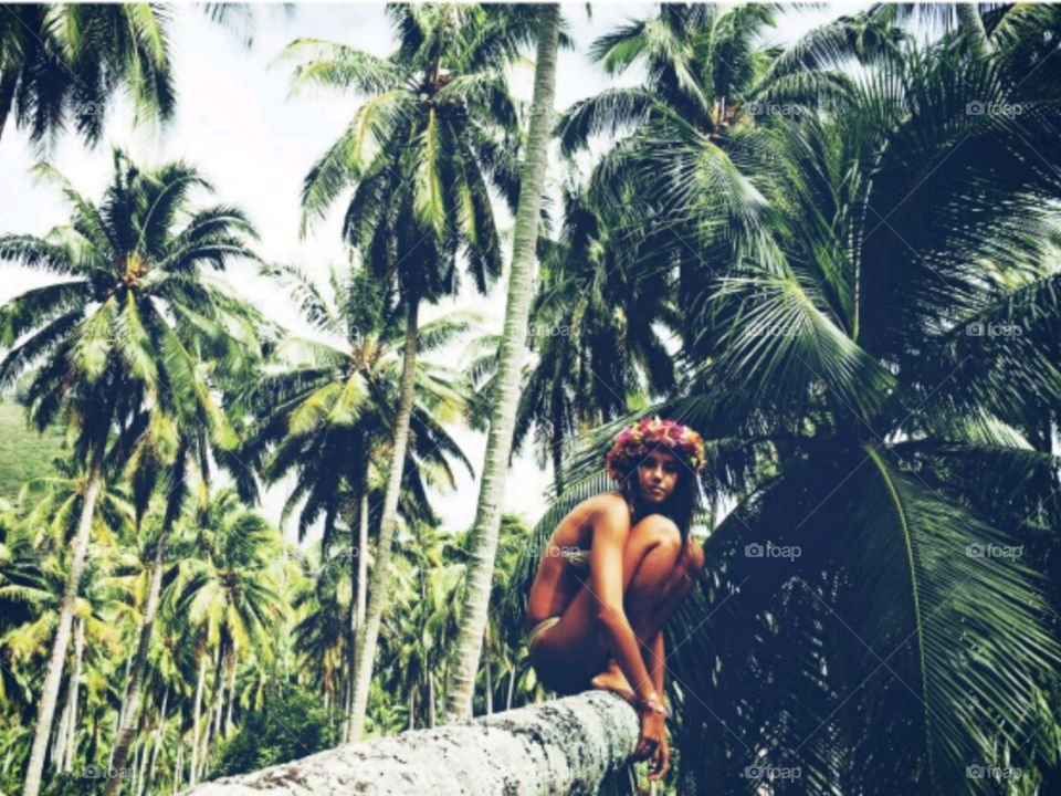coconut tree girl 🍃👧🌎