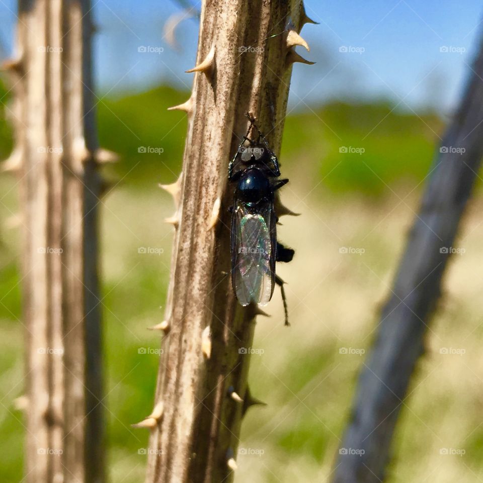 Captured with iPhone 6s Plus 