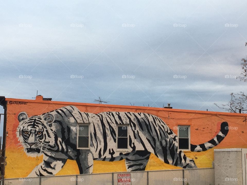 Building with tiger painting, blue sky