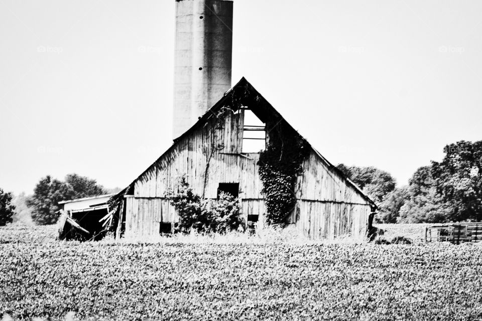 Old barn