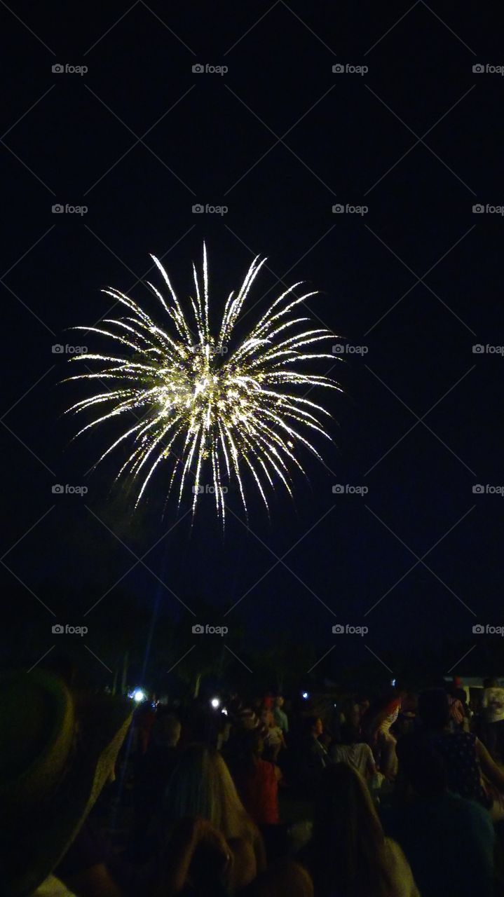 Sparkling Firework