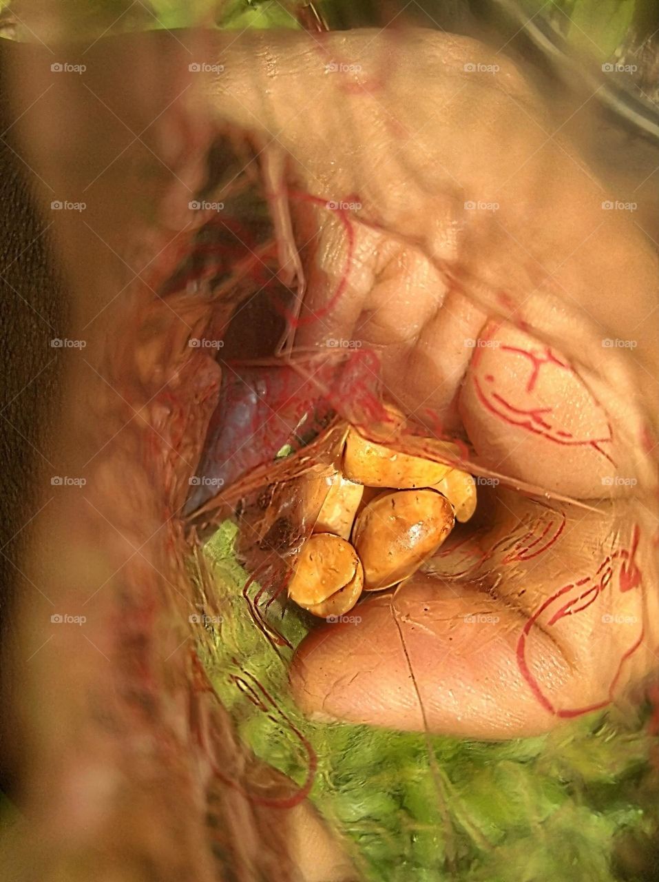Eat fried peanuts in plastic