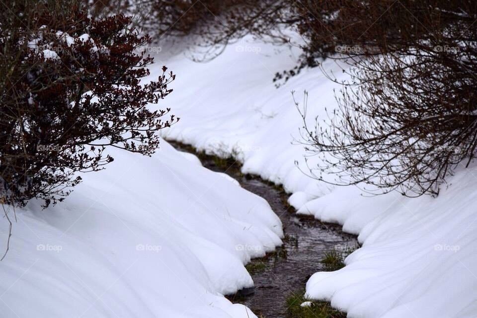 Creek in snow