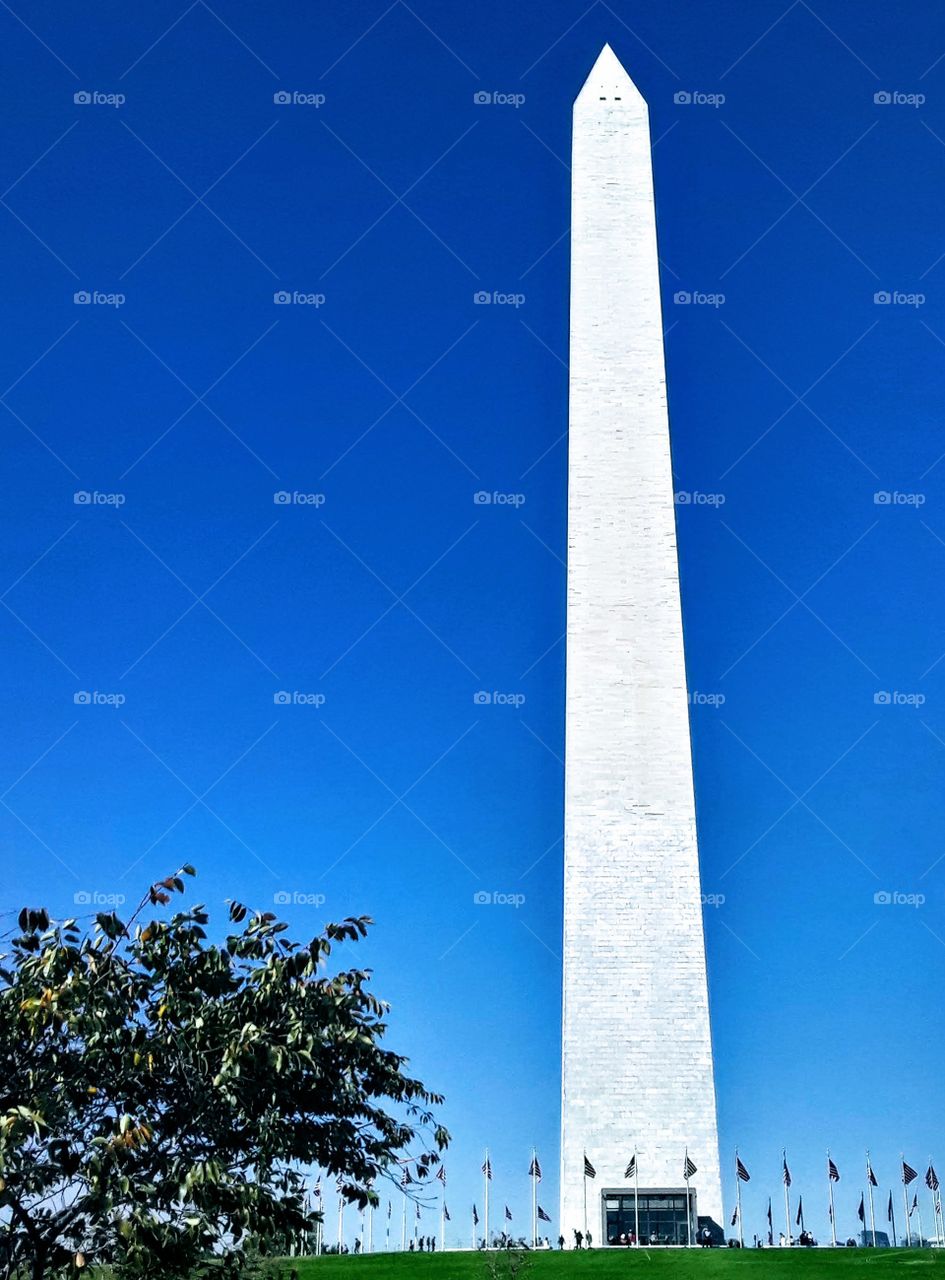 Washington monument with flags surrounding it