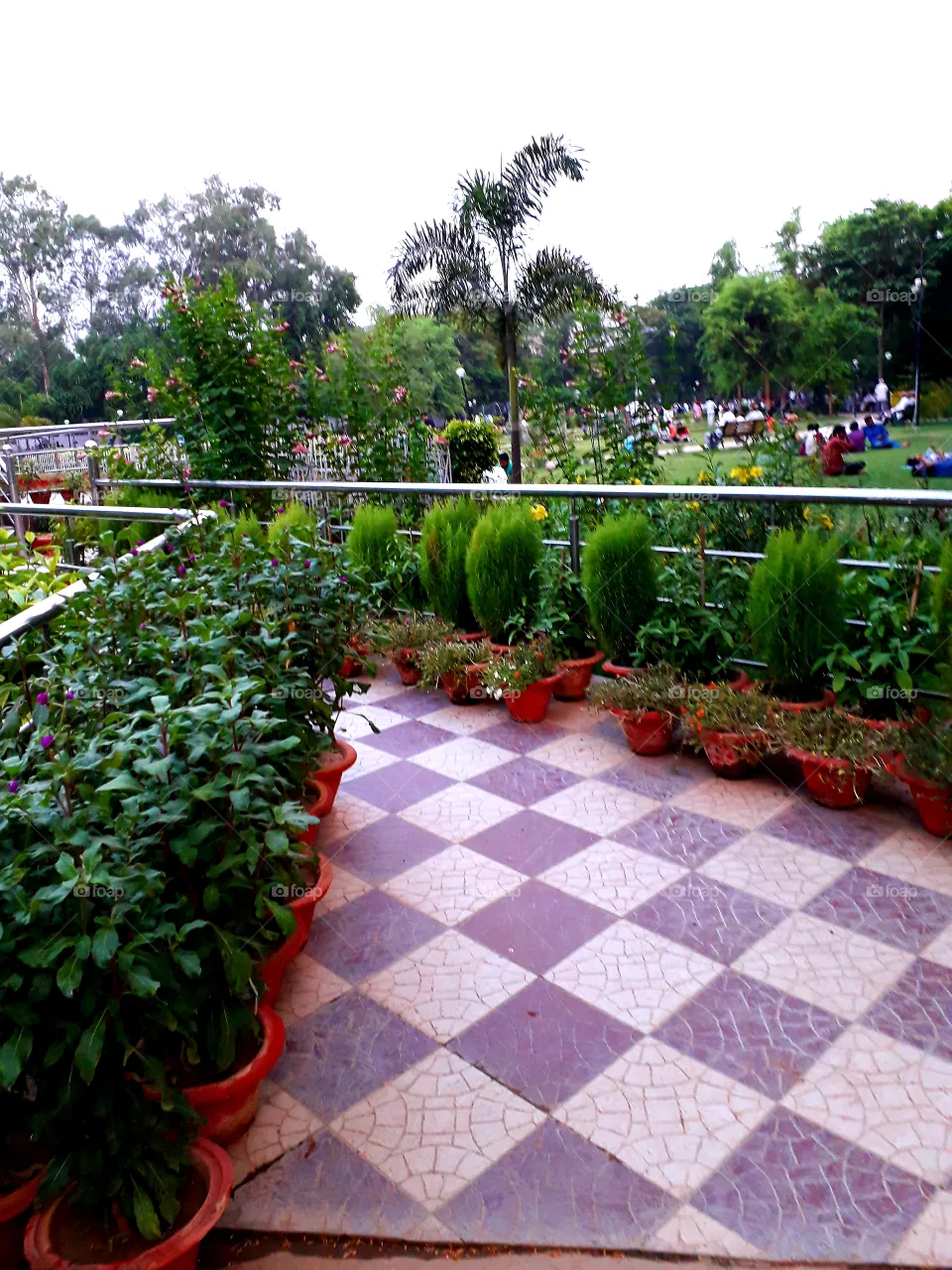 park