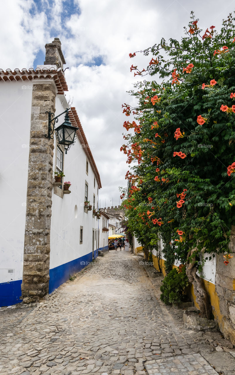 Beautiful street in Portugal (Óbidos)