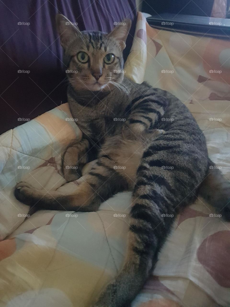 seductive and annoying