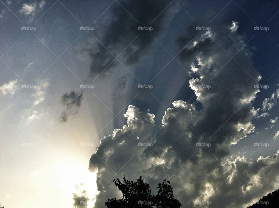 tree sun weather cloud by nivoa