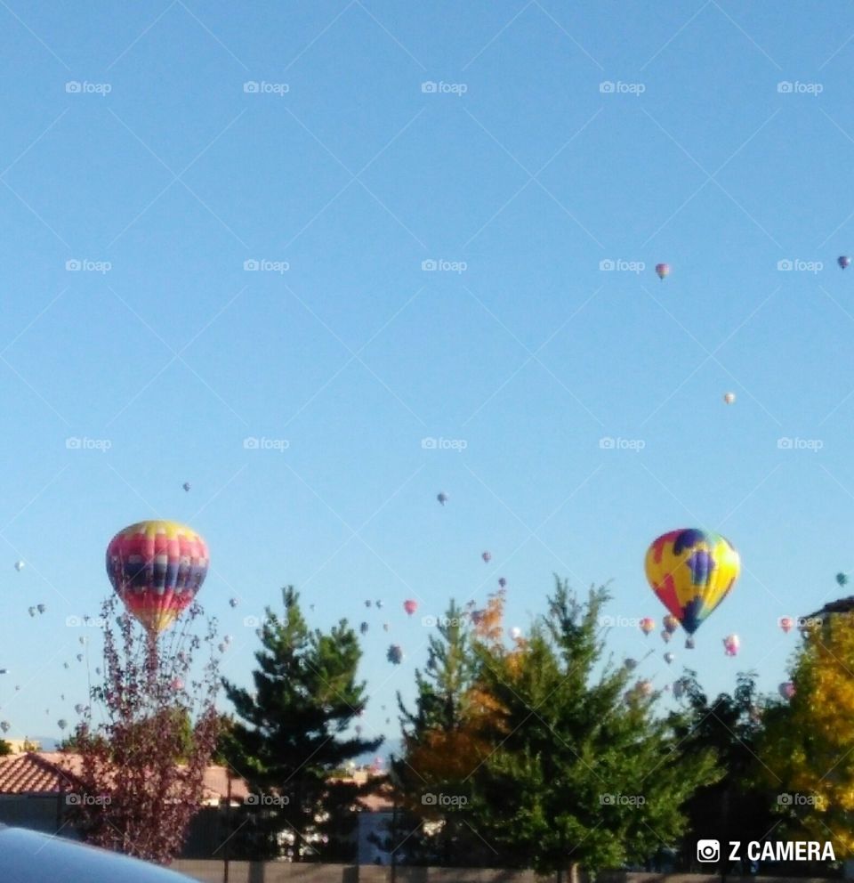 Hot Air Balloons in flight