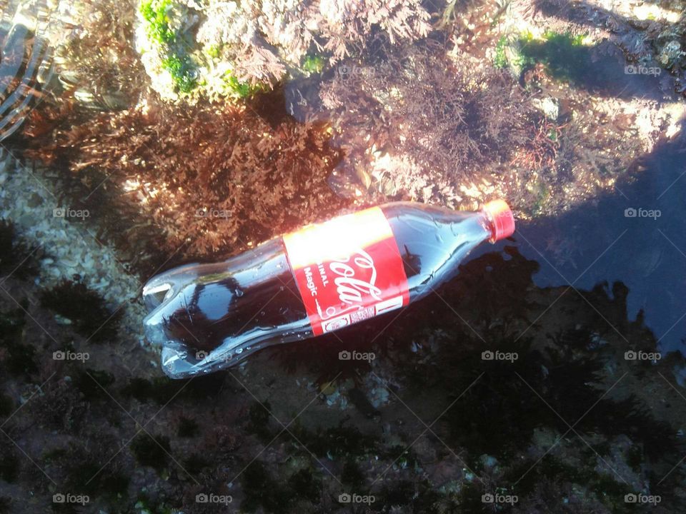 delicious bottle of fresh coca cola.