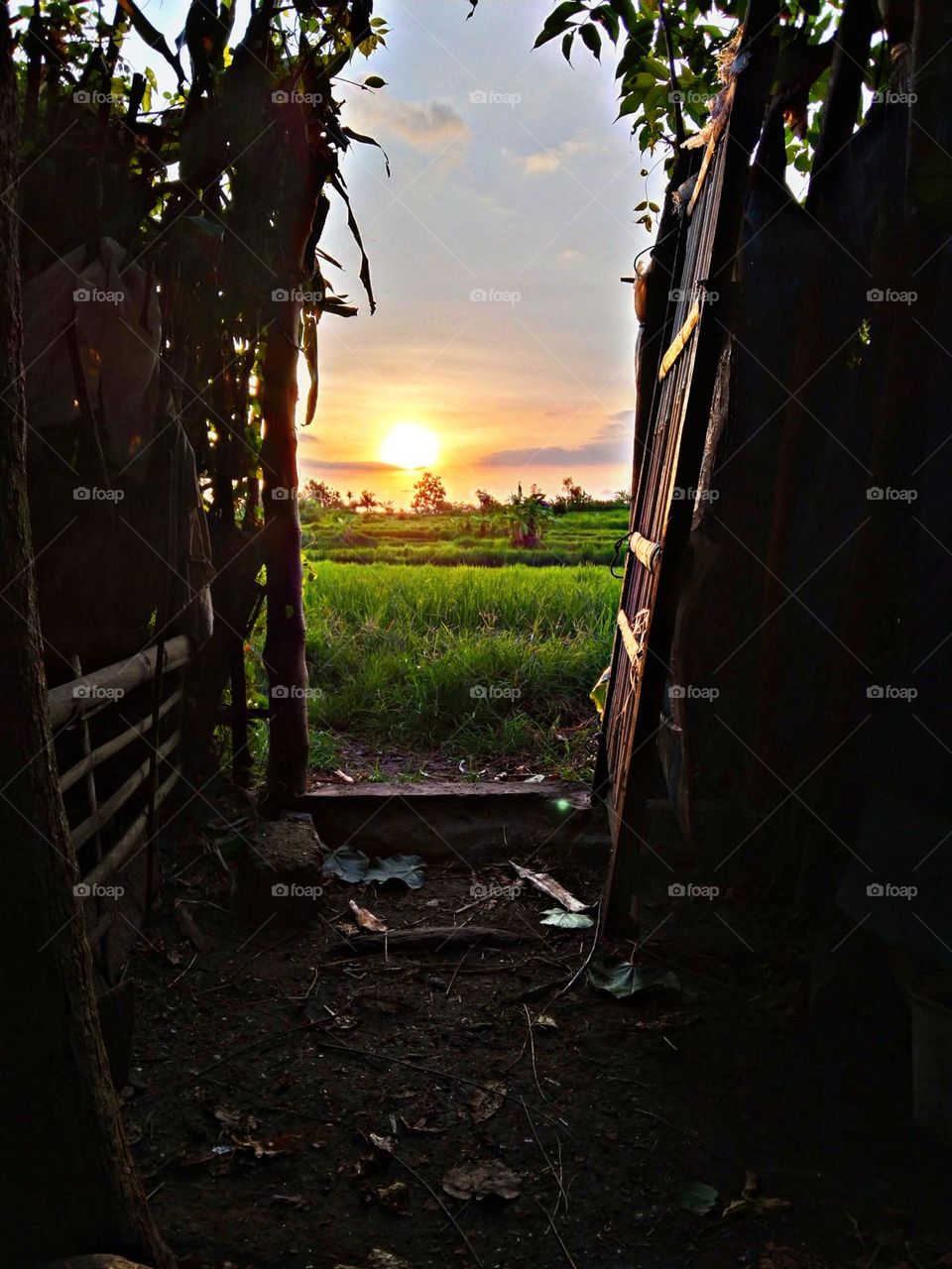 sunset view from rice fields, Karangasem, Bali