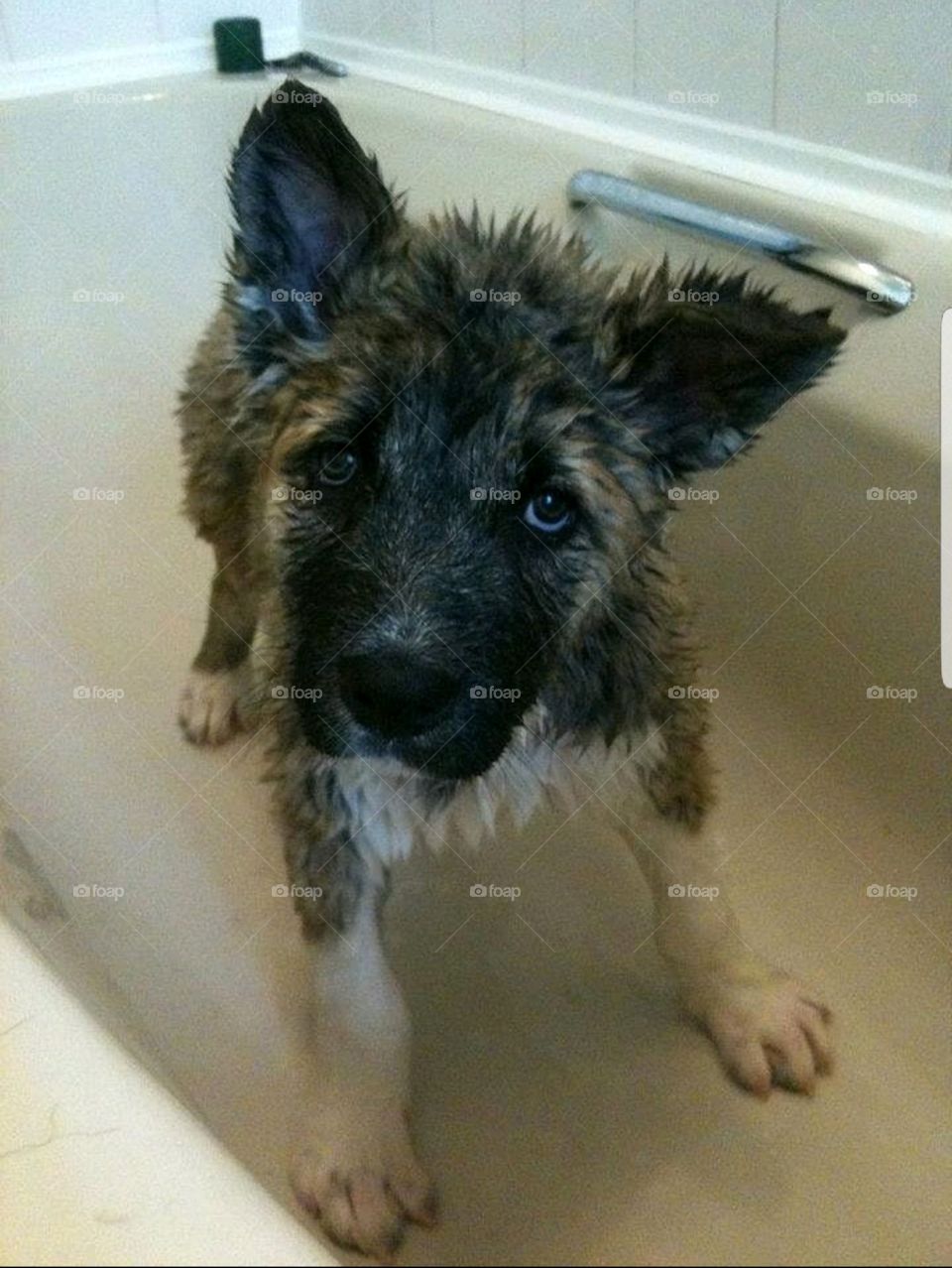 My Baby Having His First Bath