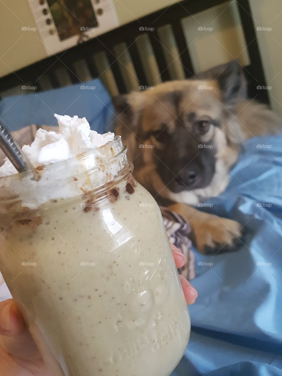 A milk shake and a cute dog.