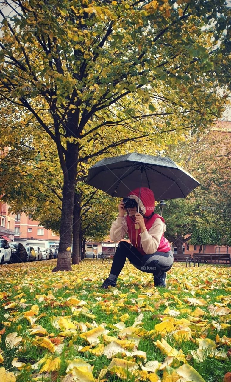 Autumn#season#trees#nature#leaves#colors#rain#human