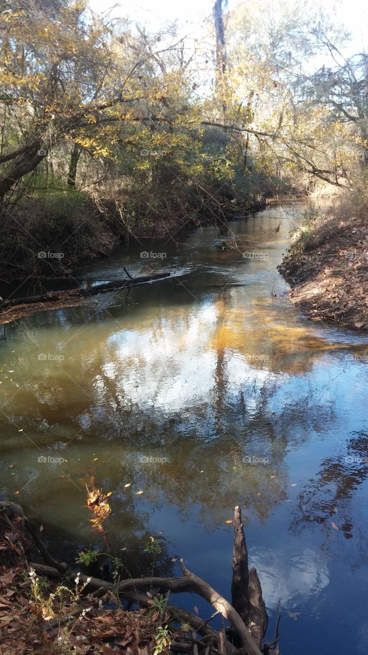 River streams 