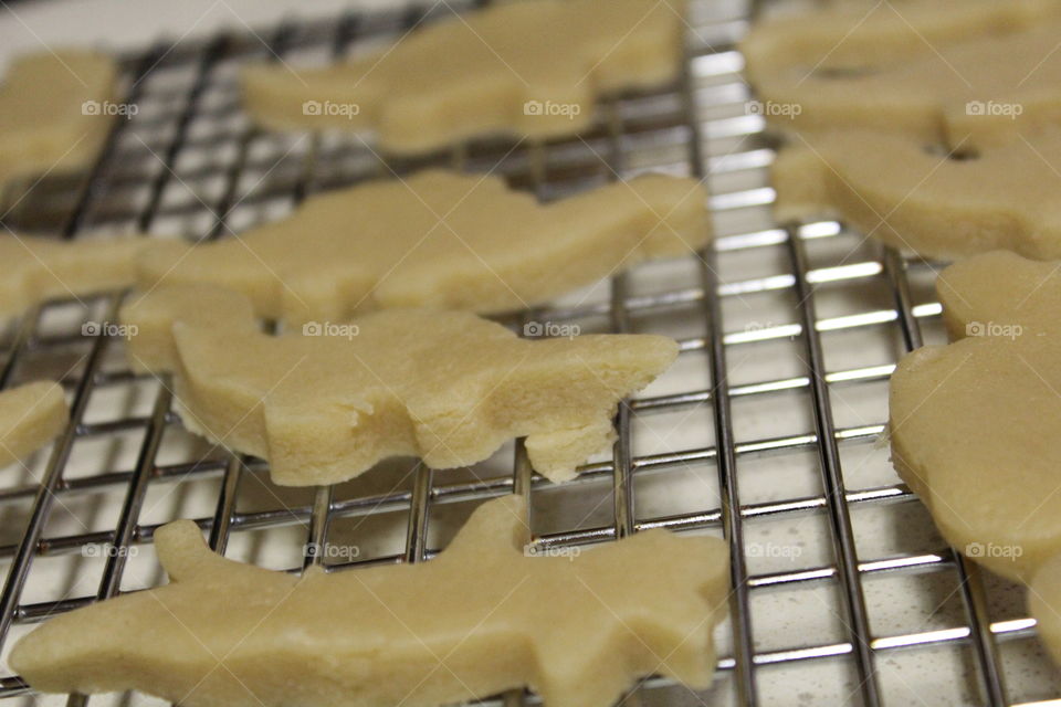 dinosaur shaped sugar cookies