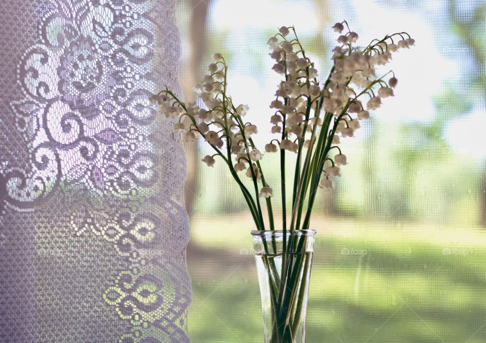 Minimalistic Snaps - lily of the valley in a vase on a windowsill by a lace curtain 