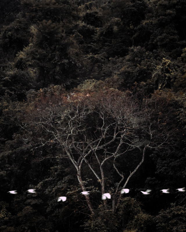 Migration