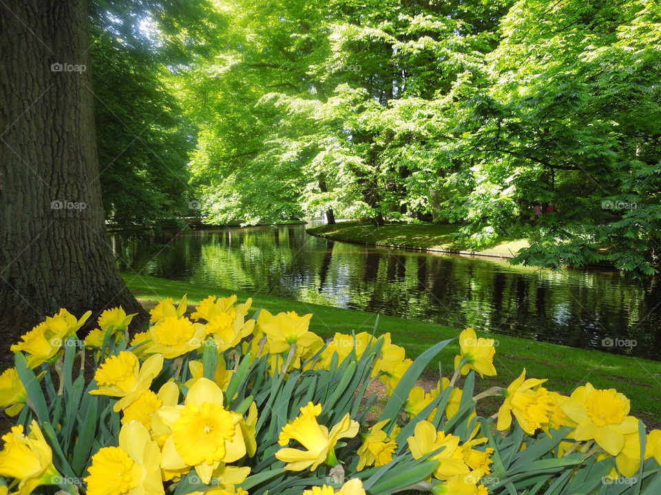 River between green and yellow