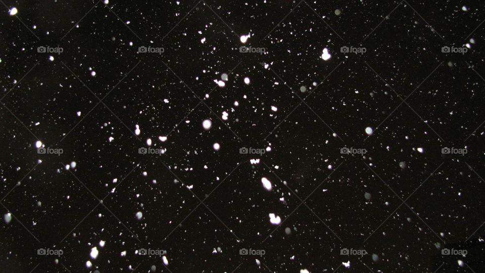 The Snowflakes in the Night