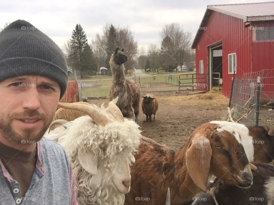Farmer and goats
