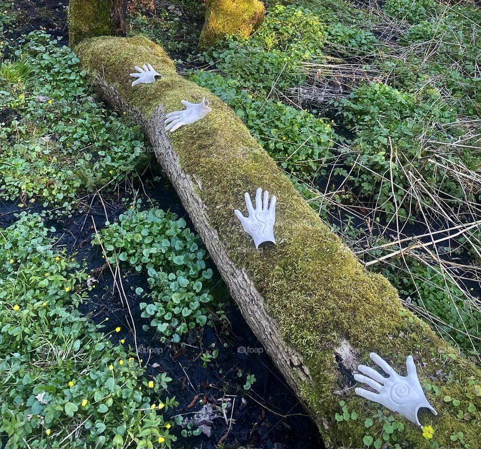  ceramics Hands in the forest 