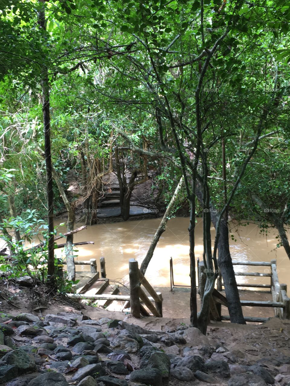 Hidden lake nature