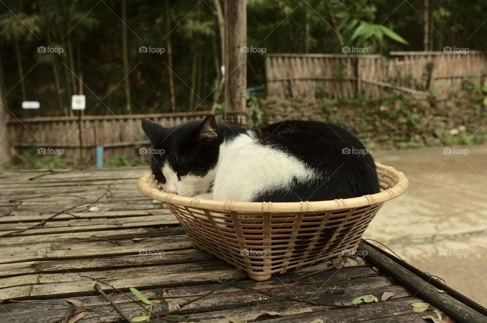 Is a mattress that goes well together