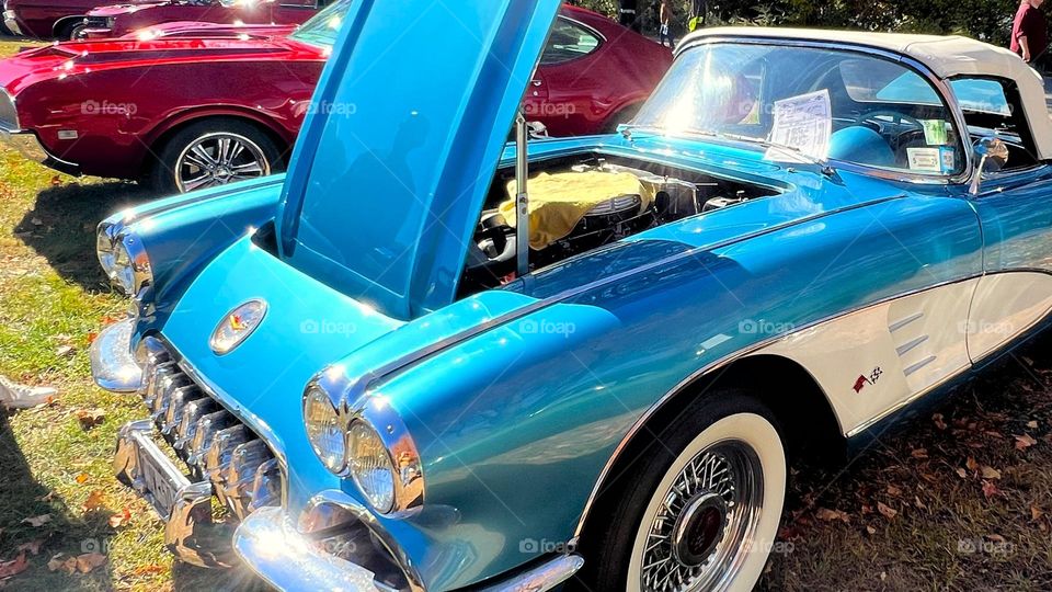 1950’s Corvette Blue Convetable 2024