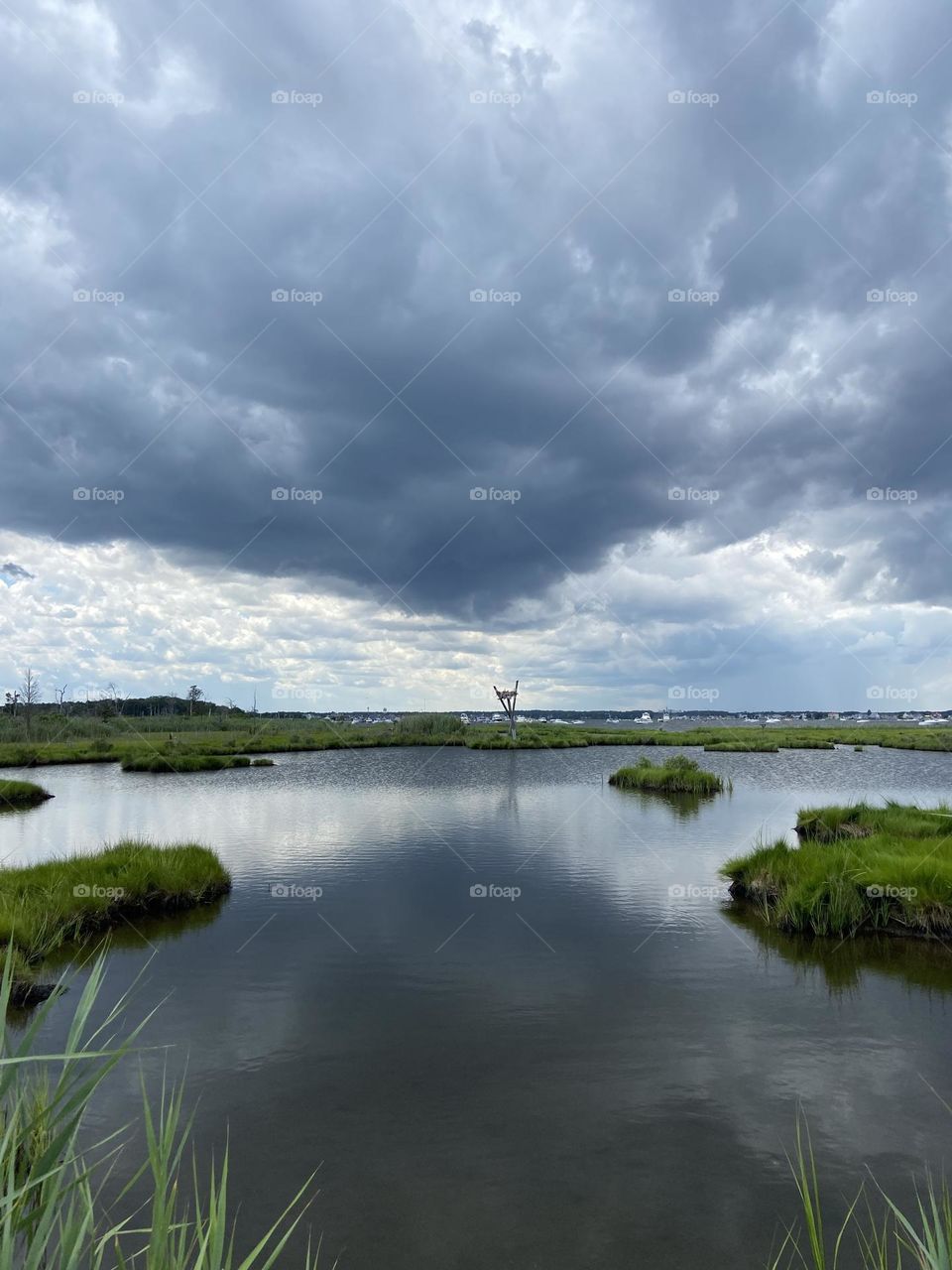 Dark clouds above an Osprey nest at Cattus Island County Park in Toms River, NJ. 