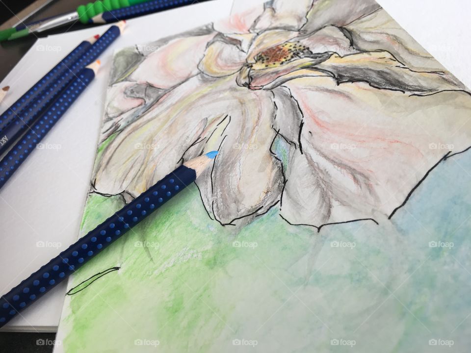 Flowers and nature colors Faber-Castell Aquarelle watercolor sketch art photography 