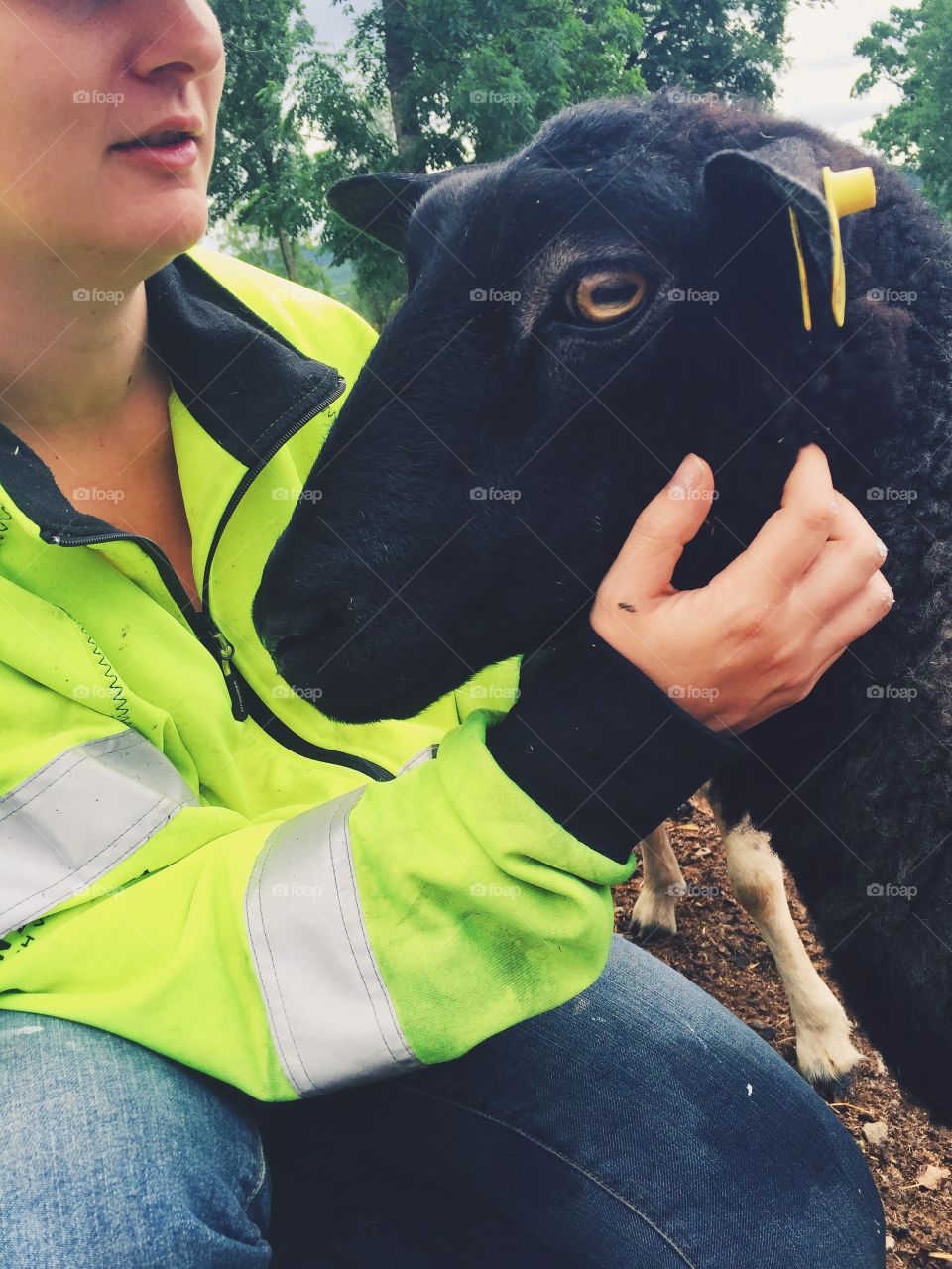 Farmer cuddling with a sheep