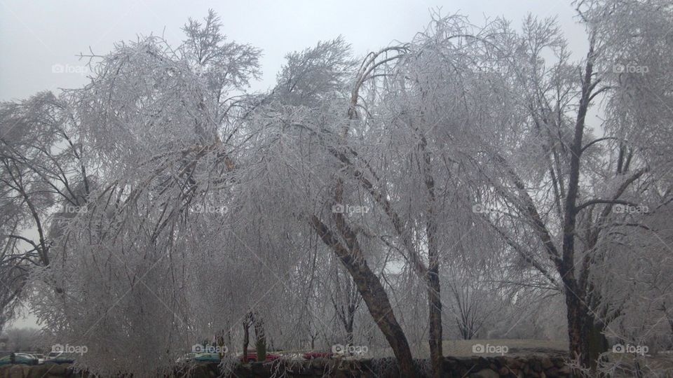 winter in wisconsin