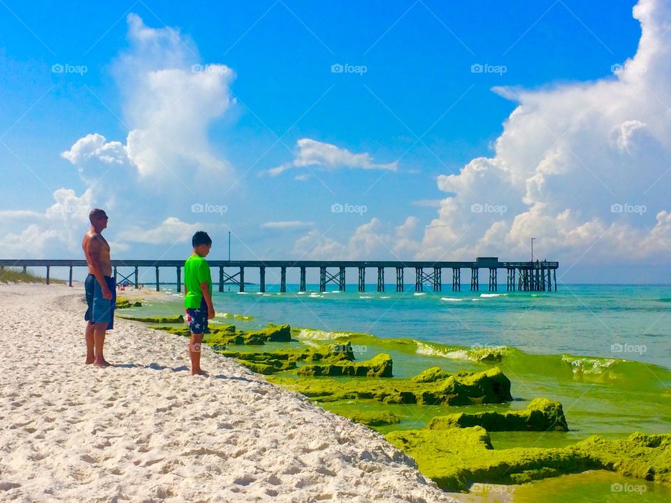 June grass covers shore line 