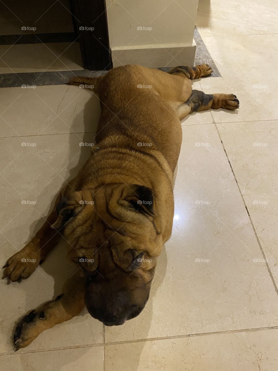 Come on let's twist again!