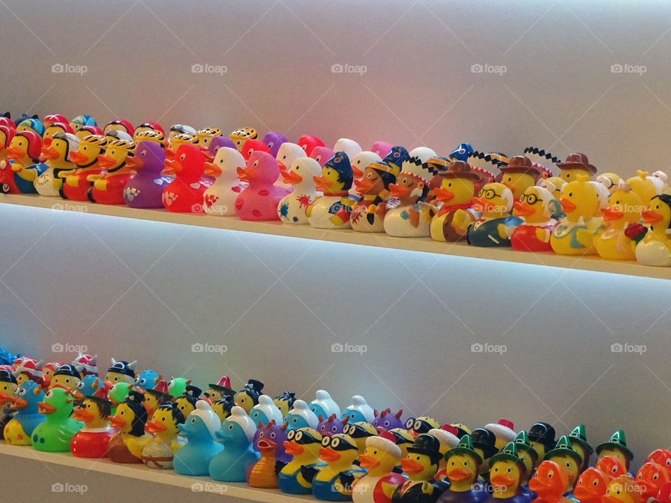 What duck do I choose?